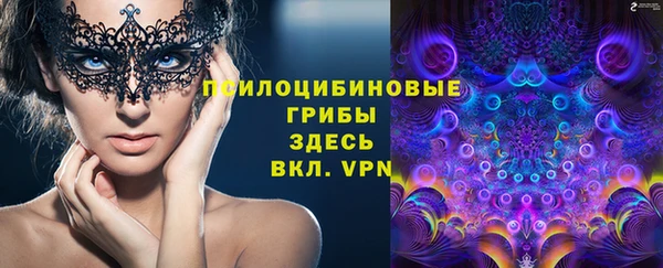шишки Армянск